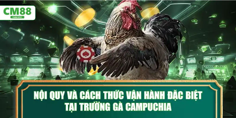Nội quy và cách thức vận hành đặc biệt tại Trường gà Campuchia